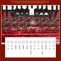 YW871 Perroquet 37Key 96 Basses clavier accordéon, perroquet accordéon