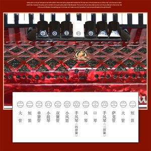 YW871 Perroquet 37Key 96 Basses clavier accordéon, perroquet accordéon - Product Image 5