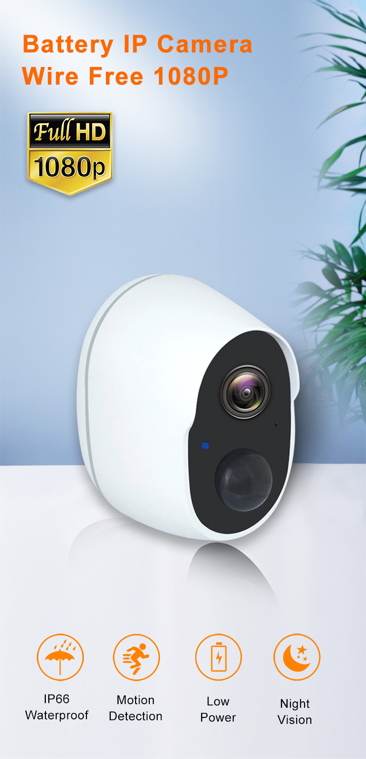 RSH Smart TUYA App Home security Wireless IP 1080P WiFi mini network camera