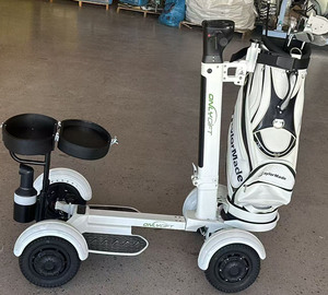 Scooter électrique à trois roues Loyall, GPS, pliable, étanche, batterie au lithium, 4000W, double moteur - Product Image 6