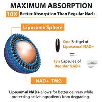 Complément Liposomal NAD pour le Soutien Énergétique Cellulaire et le Vieillissement Sain – Gélules TMG Bétaïne pour le Bien-être Quotidien – Marque Privée OEM – 60 Comprimés
