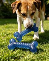 Jouets à mâcher pour animaux de compagnie en TPR résistant et couineurs pour chiens et chats