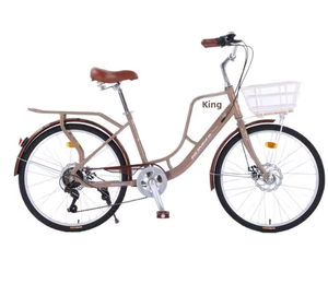 Vélo de loisirs rétro pour femmes, cadre en acier haute teneur en carbone léger de 24 pouces, style vintage, directement de l'usine - Product Image 6