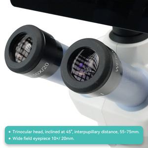 กล้องจุลทรรศน์สเตอริโอดิจิตอลซูม BestScope BLM4-320 LCD - Product Image 4
