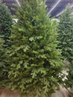 Deluxe Neues Modell Reiner PE Extra-Dichter Brandneuer Realistischer Baum-Szenen-Arrangement Weihnachtsbaum