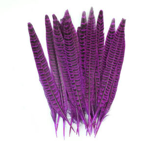 Plumes Haute Couture | Plumes <span class=keywords><strong>de</strong></span> cuivre prêtes pour la piste pour les maisons <span class=keywords><strong>de</strong></span> design - Product Image 6