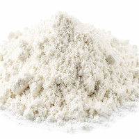 Natuurlijk Zwarte Peper Kruidenextract Poeder Voedingskwaliteit 95% 98% Piperine HPLC Gecertificeerd Oplosmiddelextractie