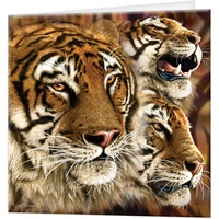 Carte-cadeau d'affaire personnalisée en PVC lenticulaire 3D en relief avec hologramme impression de cartes de vœux en plastique de style animal pour promotion
