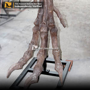 MON DINO <span class=keywords><strong>DS118</strong></span> Musée Exposition Réaliste Dinosaure Jambe Fossiles - Product Image 3