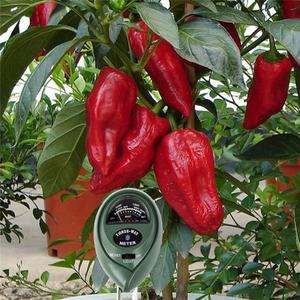 Equipamento De Testador De Solo Jardim Testador De Umidade De Nutrientes Medidor De <span class=keywords><strong>PH</strong></span> Do Solo Testador De Intensidade De Luz <span class=keywords><strong>Kit</strong></span> Medidor De Fertilidade Da Qualidade Do Solo - Product Image 5