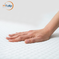 Matelas Queen Size 100 vert Nature en latex sur-matelas de lit en silicone de massage complet du corps Dunlop