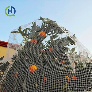 Filet anti-oiseaux en HDPE tricoté warp, résistant aux UV, service <span class=keywords><strong>de</strong></span> découpe sur mesure, durée <span class=keywords><strong>de</strong></span> vie <span class=keywords><strong>de</strong></span> 1 à 5 ans pour vignobles, vergers et <span class=keywords><strong>arbres</strong></span> <span class=keywords><strong>fruitiers</strong></span> - Product Image 4