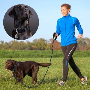 Guinzaglio <span class=keywords><strong>per</strong></span> Cani Personalizzato con <span class=keywords><strong>Collare</strong></span>, Morbido, Resistente, Antiscivolo, Imbottito, Riflettente, Regolabile in Nylon, Vendita all'Ingrosso - Product Image 5