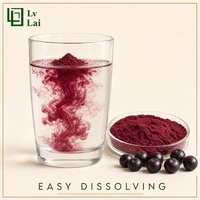 Food Grade Hoge Zuiverheid Grote Voorraad Acai Bessensap Poeder Acai Berry Fruit Poeder Volledig In Water Oplosbaar
