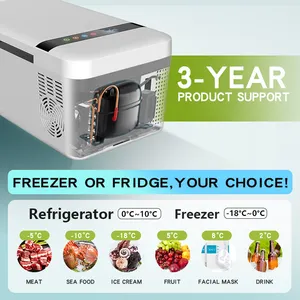 Mini réfrigérateur et congélateur de voiture, 10 l, glacière pour véhicule, compresseur Commercial, pour camion, pour voyage