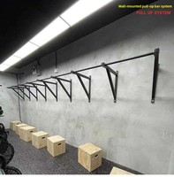 Barre de traction murale multifonctionnelle POWER TIGER en acier professionnel, hauteur 87 cm, pour utilisation en salle de sport intérieure