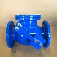 Clapet anti-retour à bride en fonte ductile GGG50 PN10 DN80 PN16 pour système de filtration de piscine
