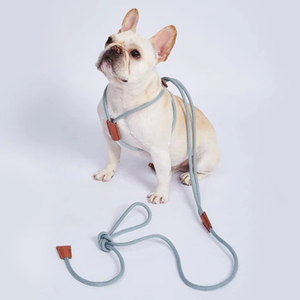 Correa de cuerda de cuero PU de nailon para perros, correa de entrenamiento para perros, correas antideslizantes duraderas para perros, correas para mascotas - Product Image 3