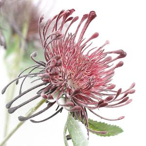 Fleurs artificielles à succès : Chrysanthèmes griffe de <span class=keywords><strong>crabe</strong></span>, décoration intérieure, célébration de mariage, fleurs artificielles en soie royale, fleurs de coussin de broderie - Product Image 2