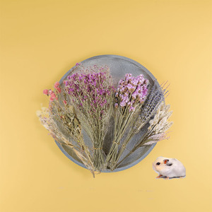 Literie pour hamster de conception originale faite de fleurs séchées naturelles librement combinables - Product Image 1