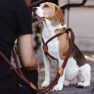 Correa para Perros Manos Libres YY, Correa Larga para Mascotas, Correas Ajustables para Perros y Arnés para Entrenamiento - Product Image 2