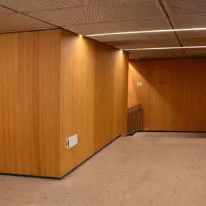 Venta caliente interior y exterior de madera de bambú laminado paneles de pared revestimiento de techo hecho de madera contrachapada de bambú sólido