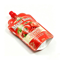 Pochette à bec verseur personnalisée en matériau alimentaire brillant avec bouchon refermable pour sauces, ketchup, sacs Mylar