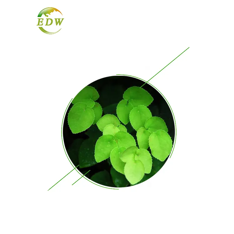 100% ฟังก์ชั่นทางเพศบริสุทธิ์เงี่ยนแพะวัชพืชสารสกัดจาก Epimedium สารสกัดจาก Icariin