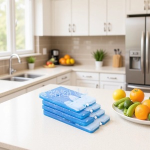 Bolsas de hielo Shinyu de 18x23x2.5cm, cuadradas grandes, 800ml, para enfriamiento y conservación de alimentos - Product Image 1