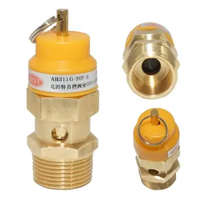 China Factory Valve Supplier Micro Opening Copper Brass Safety Relief Valve For Air Compressor