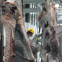 Palan de boucherie robuste pour bétail, utilisé dans les abattoirs de buffles et les usines de transformation de la viande bovine avec système d'inclinaison pour l'abattage du bétail