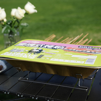 Barbecue jetable pour l'extérieur, barbecue au charbon de bois, barbecue pour fête dans la cour, barbecue jetable