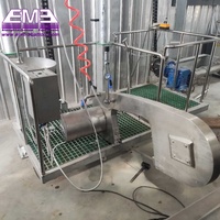 Abattoir à porcs professionnel à petite échelle automatique 10-50, équipement d'abattage avec moteur, ligne d'abattage de porcs