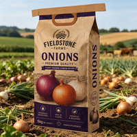 Sac en papier kraft multicouche écologique et recyclable, conception de logo personnalisé, 5-20 kg, pour stockage d'oignons et emballage chimique, vente en gros