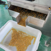 Professionele Commerciële Sus304 Fruit Extractor Granaatappelpulpmachine Passievruchtensap Machine