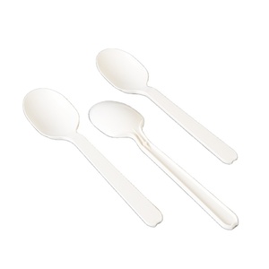 Disposable Biodegradable Plastic Spoon