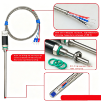 Sonde de température thermistance Pt100 en platine, étanche IP68, sonde OEM en acier inoxydable, type K, tige de 18 mm, calibrateurs Pt100 RTD