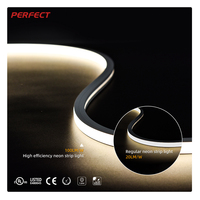 Lumière néon en silicone à pliage supérieur de qualité supérieure, vente en gros d'usine, SMD 2835, DC24V, étanche IP67, flexible, extérieur, 10*10 LED néon