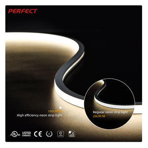 Luz LED de Neón Flexible de Silicona de Alta Calidad, Resistente al Agua IP67, 10*10, DC24V, para Exteriores, Venta al por Mayor de Fábrica, Modelo PERFECT SMD 2835 - Product Image 2