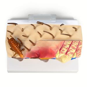Modelo de piel canina patológica de KyrenMed con condiciones de mordedura de pulgas y modelo de piel normal para enseñanza anatómica de anatomía canina - Product Image 4