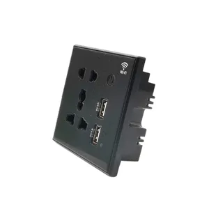 Tuya WIFI Control Universal Wall Socket with 2 USB 3.0 Fast Charging Hotel Office Home Socket With DualUSB Wall Socket