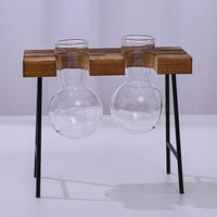 Conteneur hydroponique créatif pour philodendron - Décoration d'intérieur en verre - Ensemble de petits vases à fleurs pour bureau