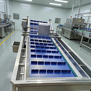 Línea de Lavado Industrial Comercial para Frutas, Lavadora de Fresas y Arándanos para Producción de Smoothies y Jugos - Product Image 1