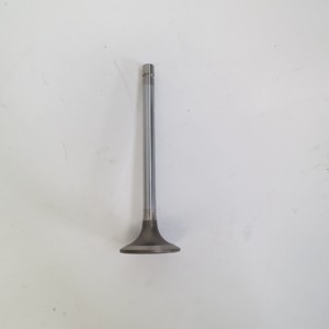 Soupape d'admission et d'échappement de moteur Qsk60 de haute performance 3641543 pour moteur diesel industriel - Product Image 5