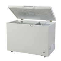 Réfrigérateur Commercial, 20 l, à bas prix, avec vitrine pour la viande, congélateur profond