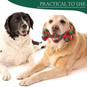 Jouets à mâcher pour chiens personnalisés en gros, os en coton de luxe, petite corde interactive pour chiens - Product Image 5