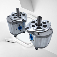 Pompe à engrenages Hefei Changyuan CBW-F304/F306/F310/F316/F320-ALP/AFP/CLP/CFP L Garantie 1 an Certifiée avec équipement pour rapport