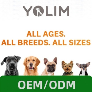 Échantillon gratuit soutient la santé intestinale suppléments et vitamines pour animaux de compagnie probiotiques pour chiens avec mélange d'enzymes - Product Image 4