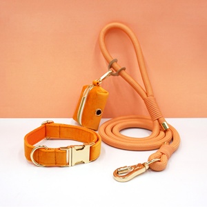 Prodotti di tendenza tik <span class=keywords><strong>tok</strong></span> fibbia in oro 2025 guinzaglio arancione porta cacca per cani dispenser in velluto personalizzato collare per cani da addestramento - Product Image 1