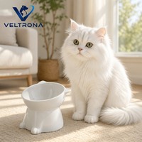 Bol pour animaux de compagnie en céramique blanche avec base en forme de patte d'animal, bol surélevé pour nourriture et eau pour chats et petits chiens